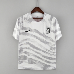 2022 Korean Training Jersey Gray