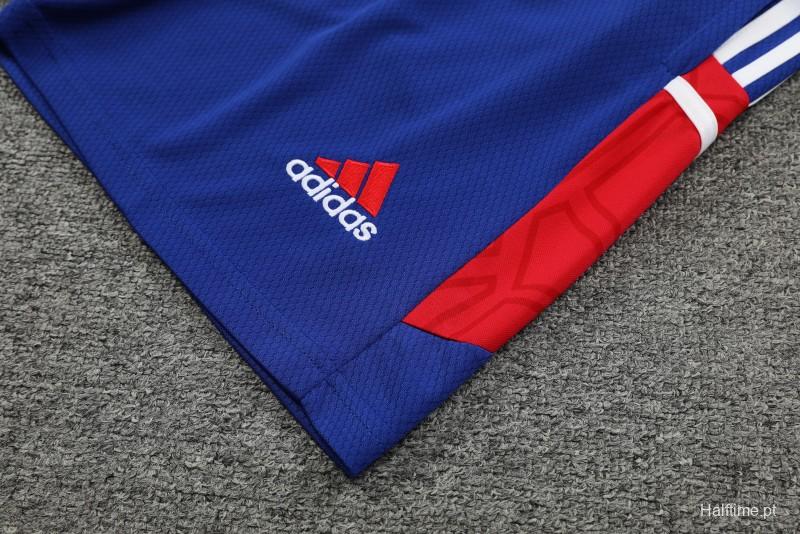 23-24 Bayern Munich Red/Blue Vest Jersey+Shorts